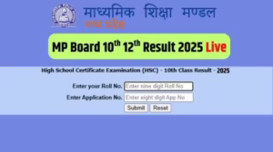 Mp Board Result 2025
