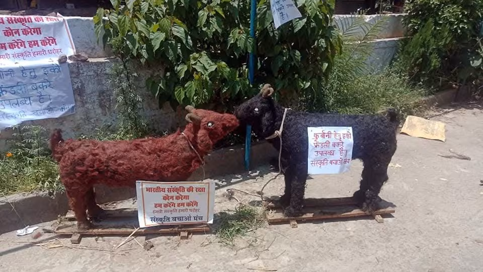 Eco friendly Eid