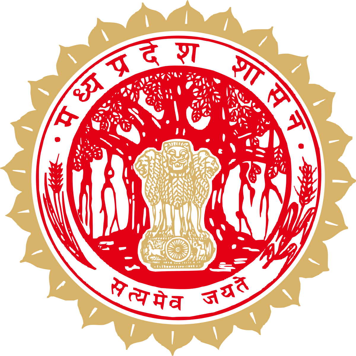 MP Treasury IFMS