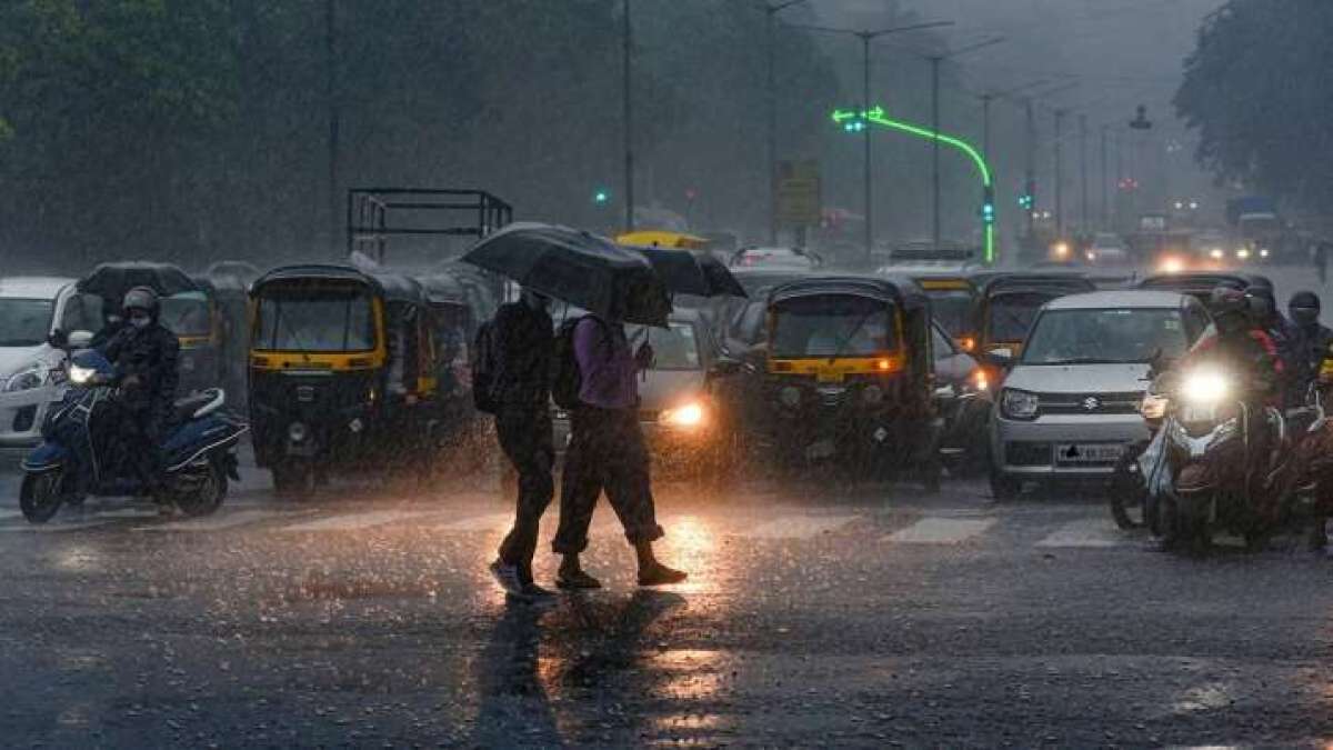MP Rainfall Weather