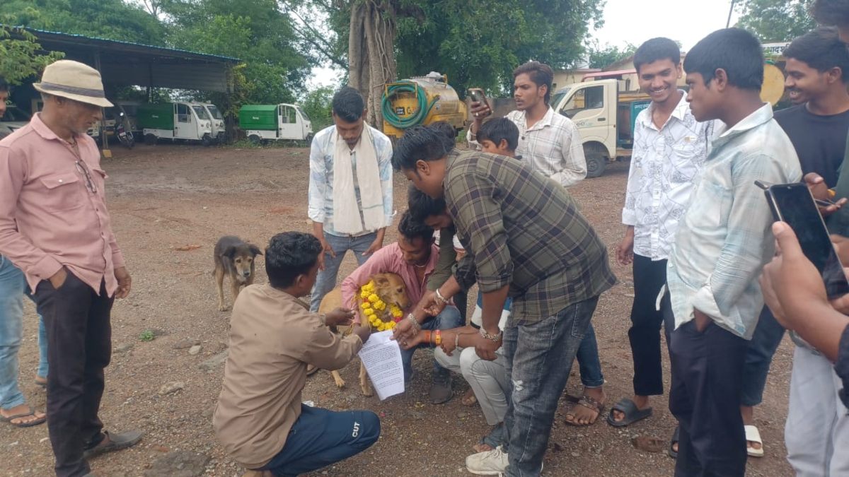 Mp news
