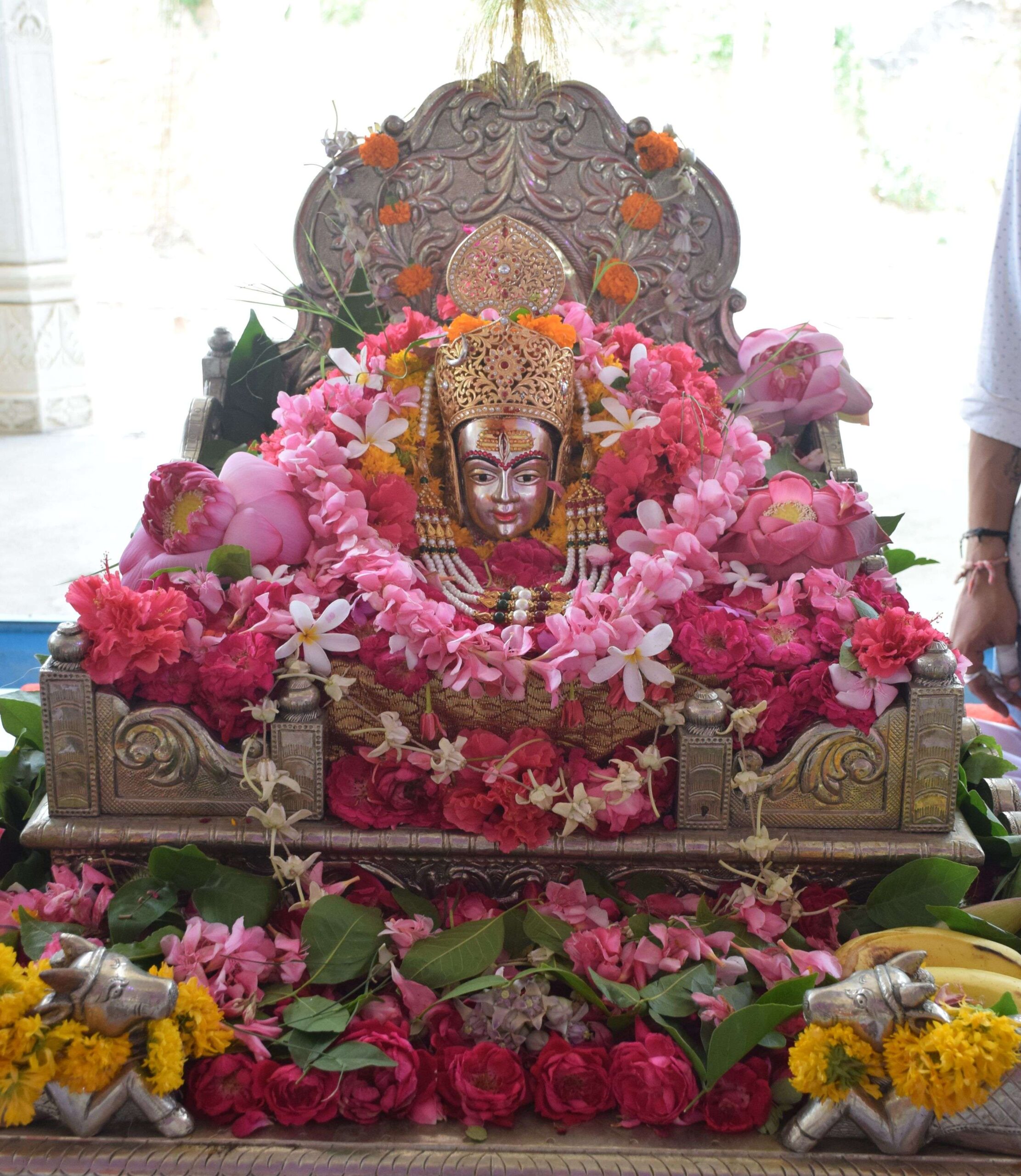 Bhasma Aarti