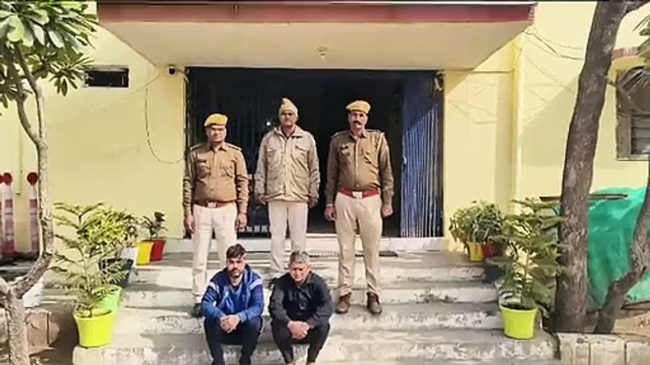Mp news