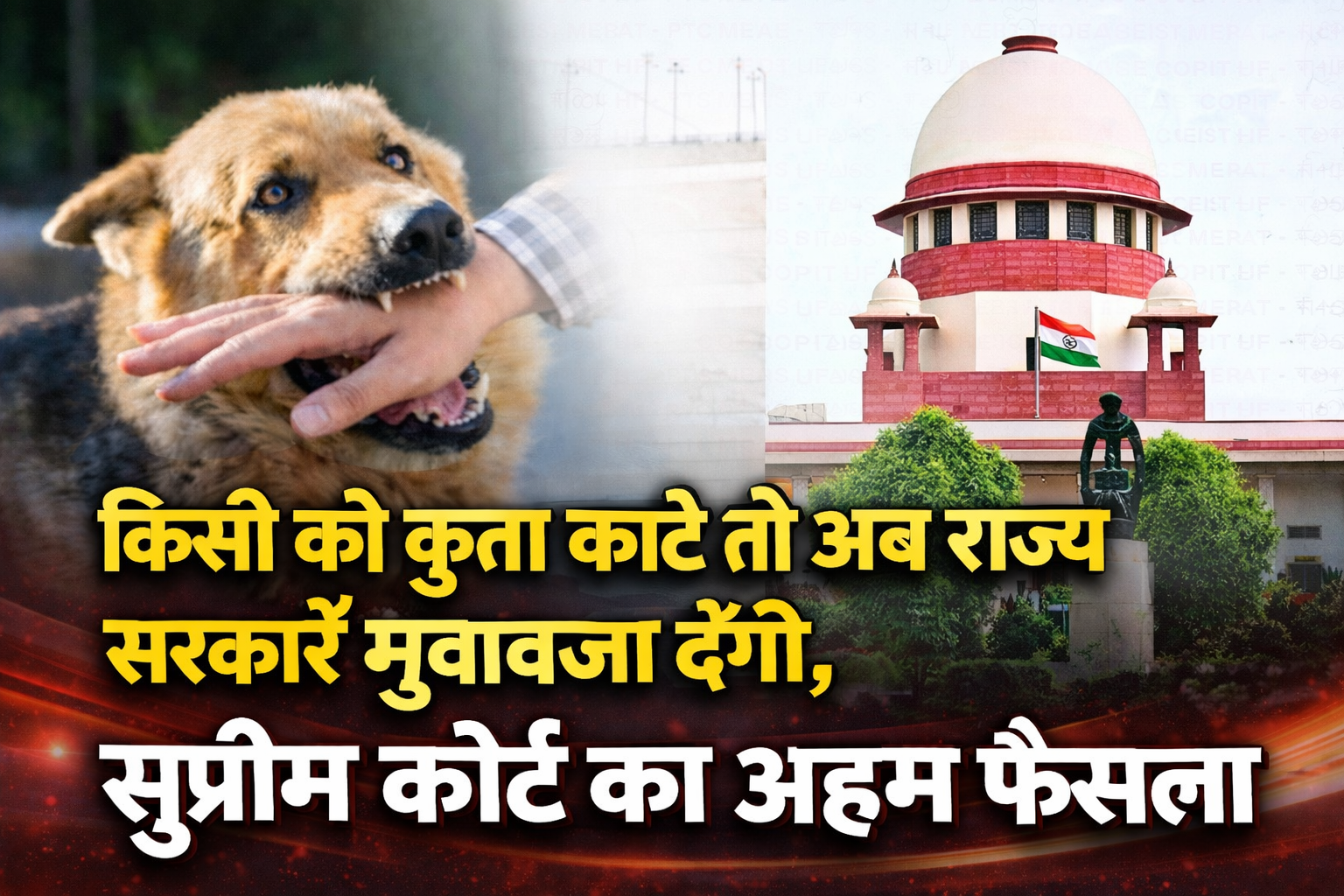 Dog Bite Victims to Get Compensation: Supreme Court