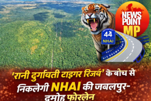 Rani Durgavati Tiger Reserve Four Lane Road