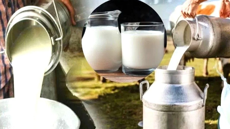 इंदौर में आज से दूध ₹3 महंगा, घर तक मंगाने पर 1 रुपए अतिरिक्त, किसानों को 33 पैसे प्रति फैट ज्यादा भुगतान