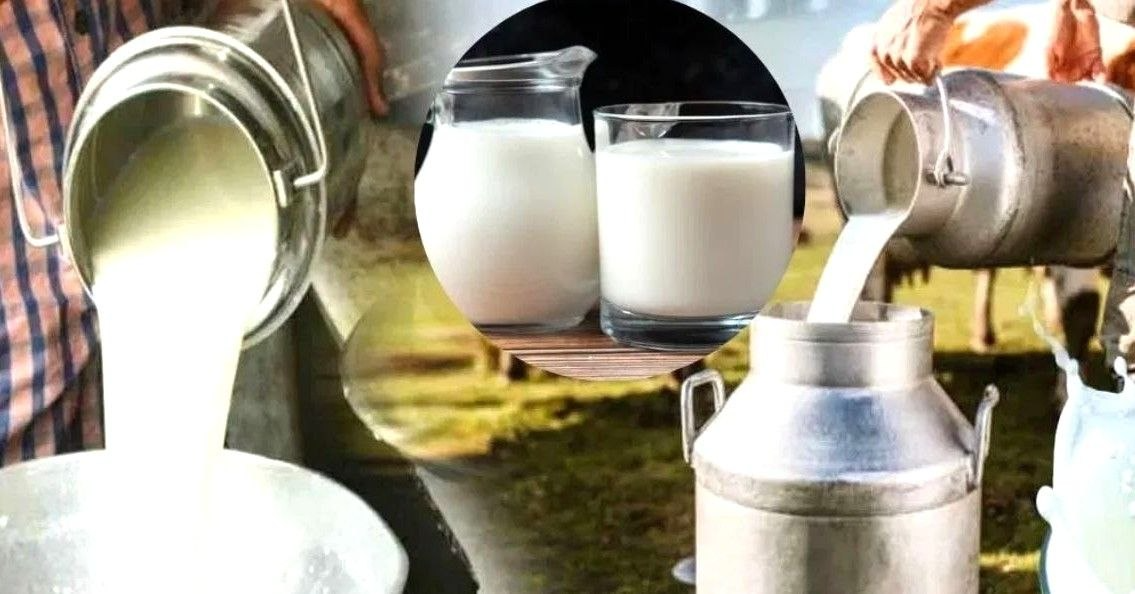 इंदौर में आज से दूध ₹3 महंगा, घर तक मंगाने पर 1 रुपए अतिरिक्त, किसानों को 33 पैसे प्रति फैट ज्यादा भुगतान